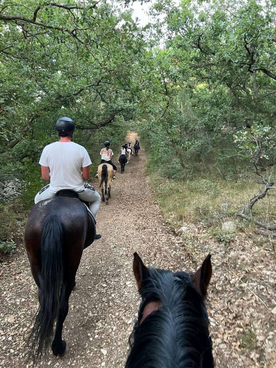 caminar por el bosque 