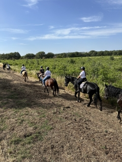 Lección + Cabalgamarra por la Alta Murgia 2h