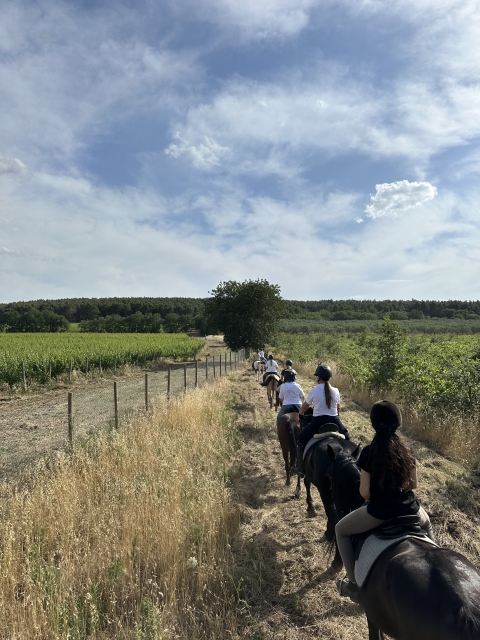  Entre el campo 