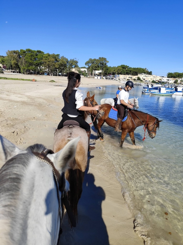  En la orilla 