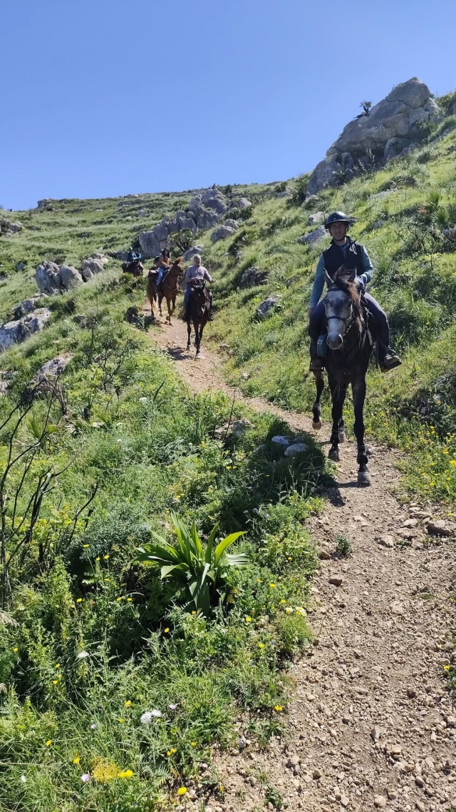  Caminos verdes 