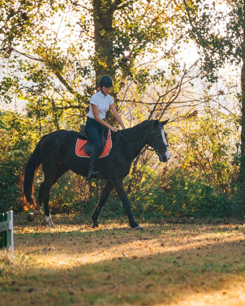  Aventurándose al parque 