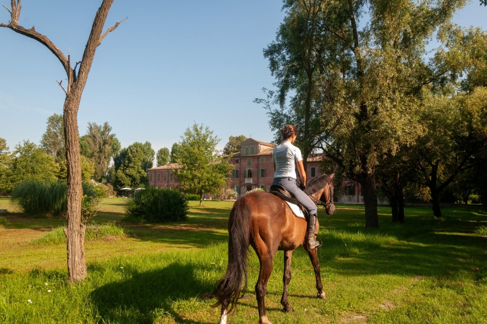  Pasear por el parque 