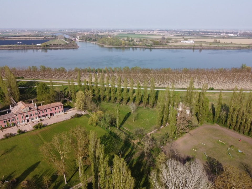  La finca 