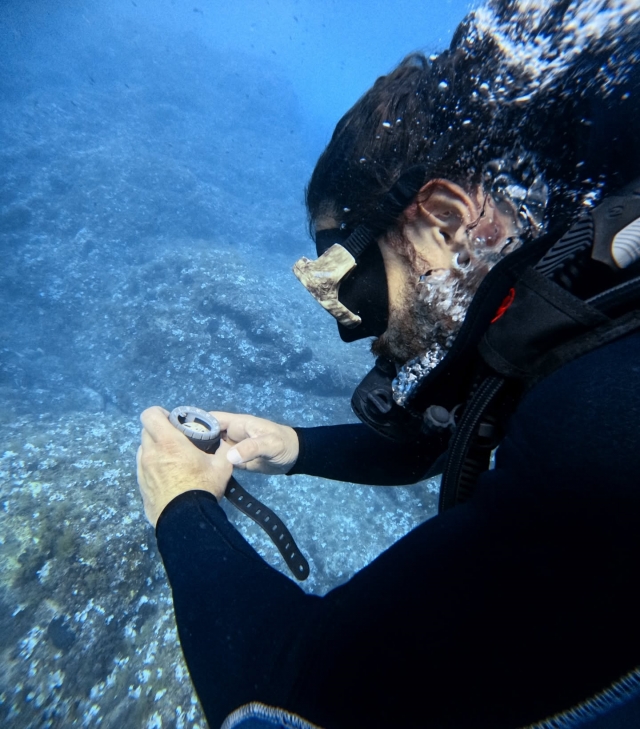  En el fondo marino