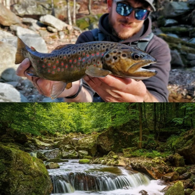 Río y pesca 