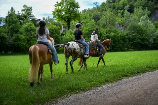 Paseo a caballo en las colinas de Prosecco 1h