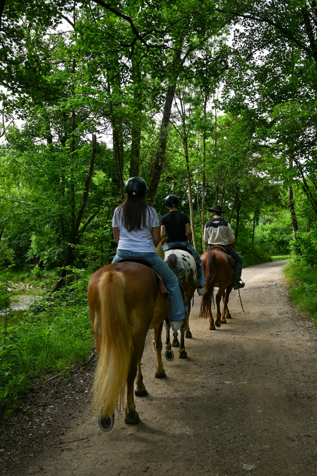 En el bosque 
