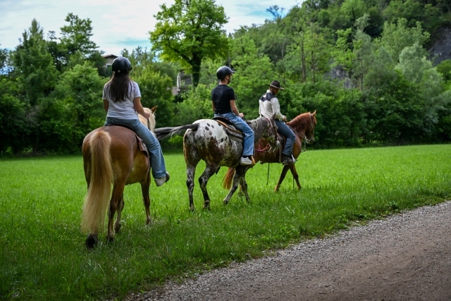 Paseo a caballo en las colinas de Prosecco 1h