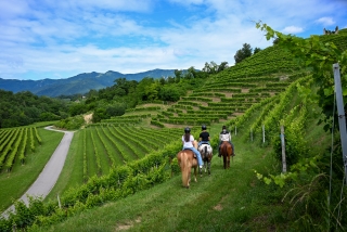 Paseo a caballo Prosecco Hills + aperitivo 1h