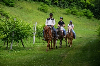 Paseo a caballo hacia Borgo di Rolle 2h