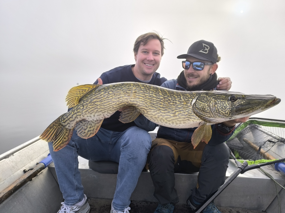 Pescado 