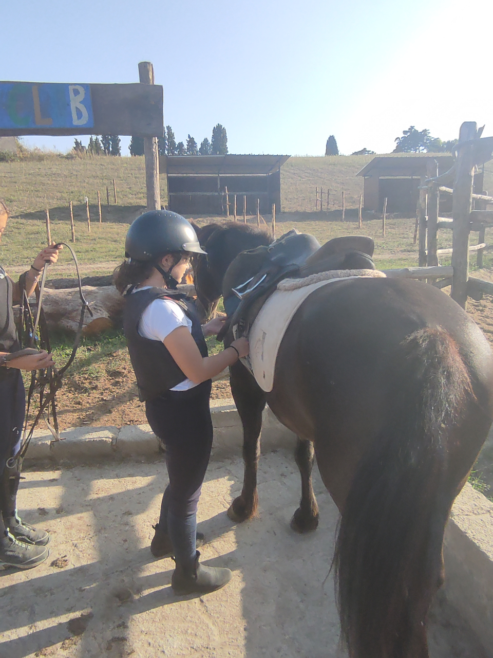 Aprende a subir a caballo en Roma 