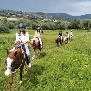  El grupo a caballo por el prado 