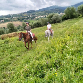  Paseo a caballo por el cerro 