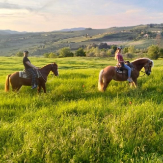 Paseo a caballo de 1h30 con aperitivo a las afueras de Florencia