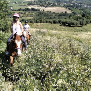  Un largo paseo por el campo 
