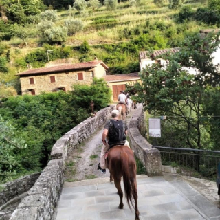 Largo paseo a caballo de 2 horas con aperitivo en Pelago