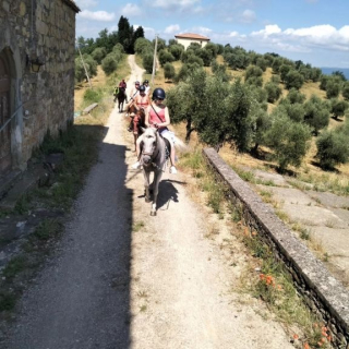  El camino a lo largo del muro de piedra seca 