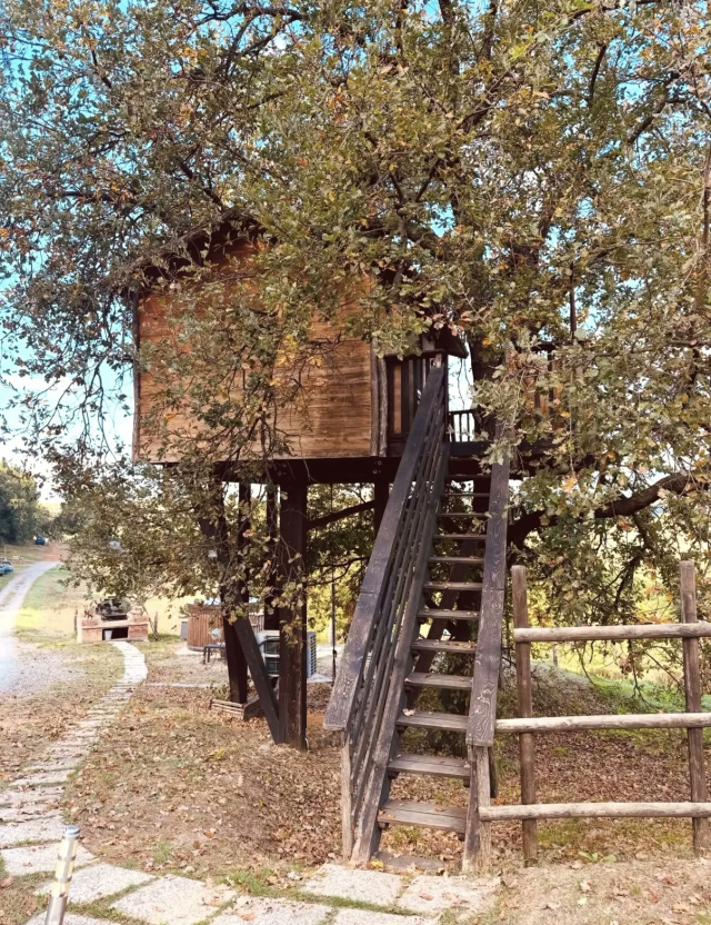  La escalera de la casa del árbol 