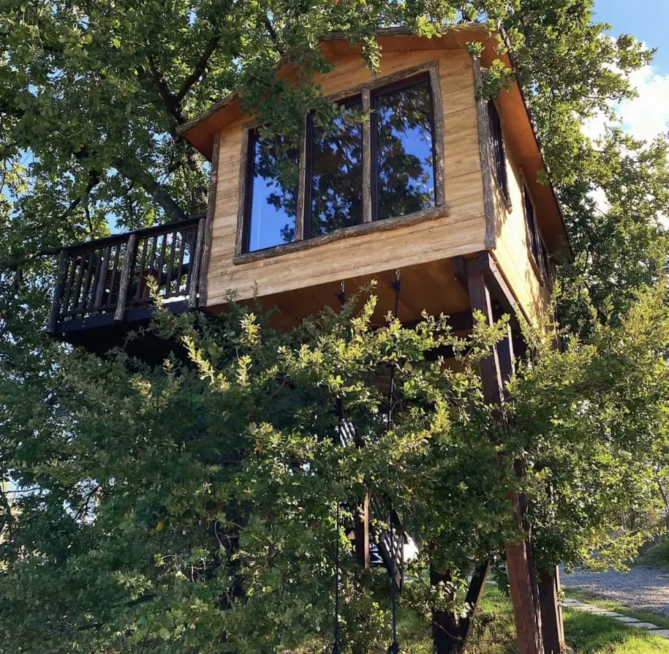  La casa del árbol a ocho metros del departamento 