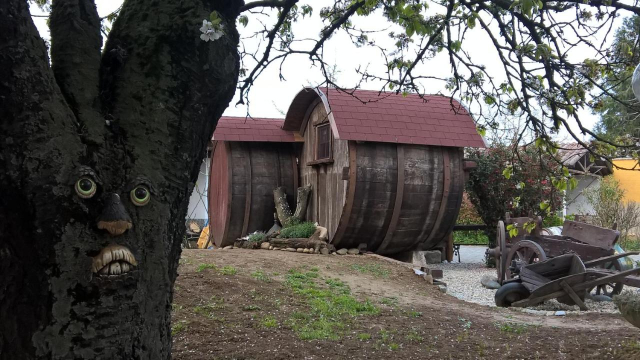  Los barriles y el árbol con la cara 