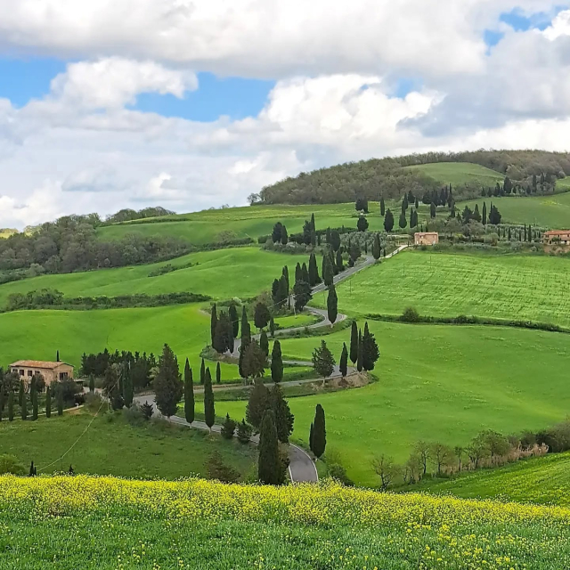 Las curva de los cipreses en primavera 