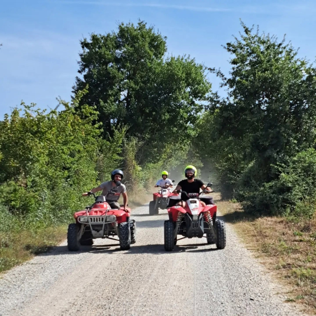 Dos cuatrimotos en la avenida arbolada 