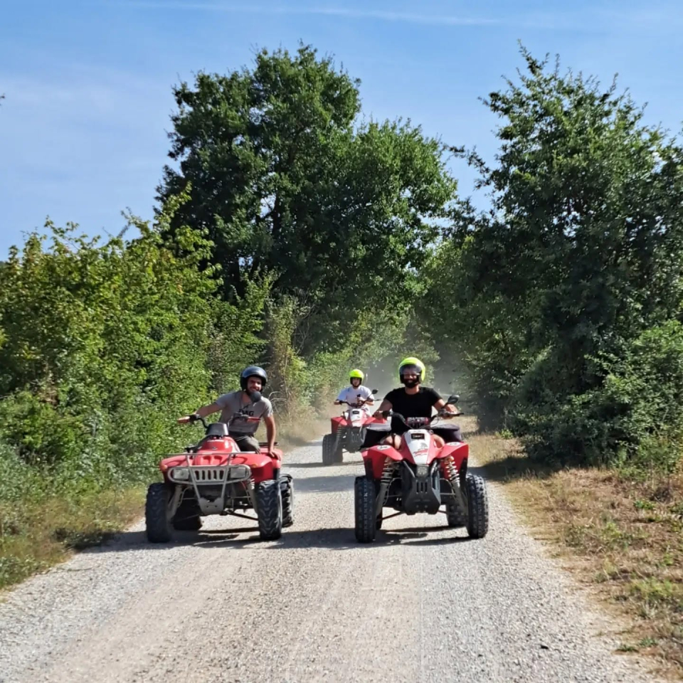 Dos cuatrimotos en la avenida arbolada 