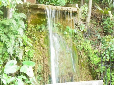 Tour a Saragoça Nuevo León com alojamento