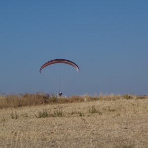 P8052930.JPG
