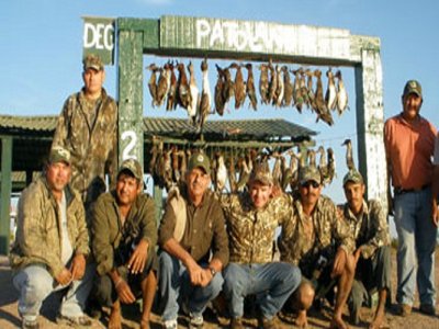 Patolandia