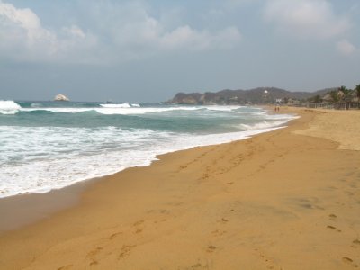Tour de 1 día por Puerto Ángel con guía
