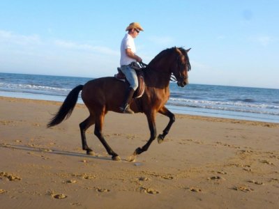 Cabalgamarra completa Doñana bebida y pastelitos