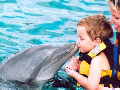 Dolphin Discovery Cozumel Nado con Delfines