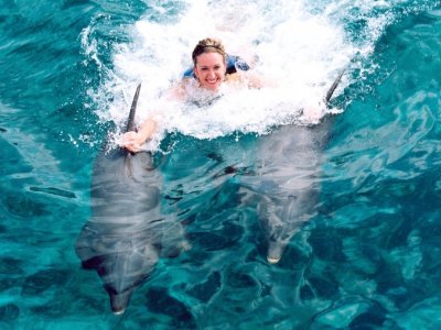 Dolphin Discovery Cancún