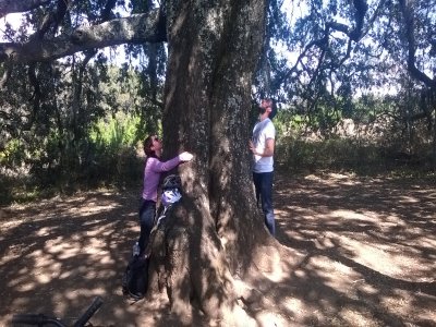 Piste cyclable jusqu'à l'arbre aux souhaits de Huasca