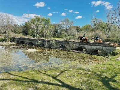 Paseo a caballo y comida romántica en Guadarrama