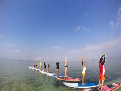 Renta de tabla de Stand Up Paddle por 1 hora