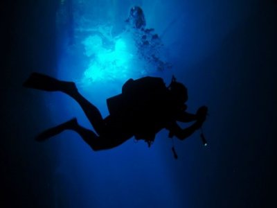 Viagem de mergulho em 2 cenotes na Península de Yucatán