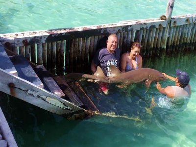Paseo en lancha, snorkel y comida en Isla Mujeres