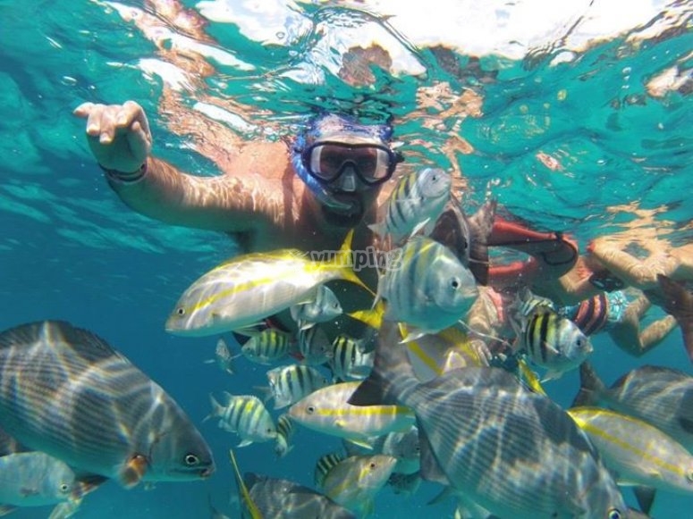 Tour a Islas Mujeres en catamarán con snorkel desde 1400