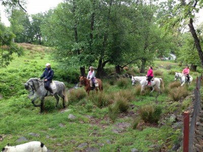 Paseo a Caballo por Gredos y mini clase 1:30 horas