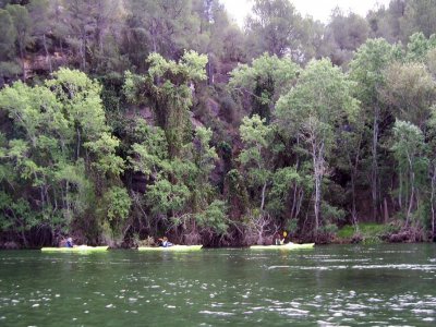 Kayak de Miravet a Benifallet adultos 3 horas