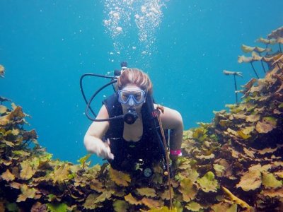 Iniciación al buceo en Media Luna 2 noches hotel