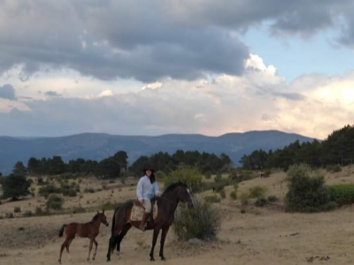 Ruta a Caballo Colmenar Viejo 3h
