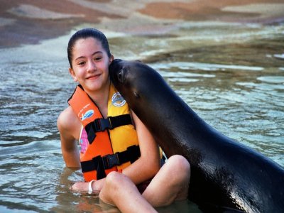 Swim dolphins, sea lions and manatees for kids