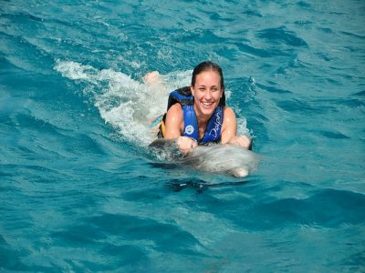 Nado delfines Adventure y acceso Parque Garrafón