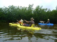 Tour Kayak medio día en Manglares de Santa Clara