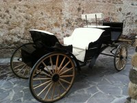  The carriage 